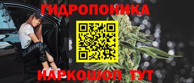 сатива Балахна