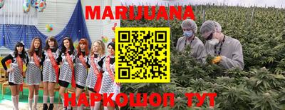 сатива Балахна
