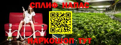 сатива Балахна