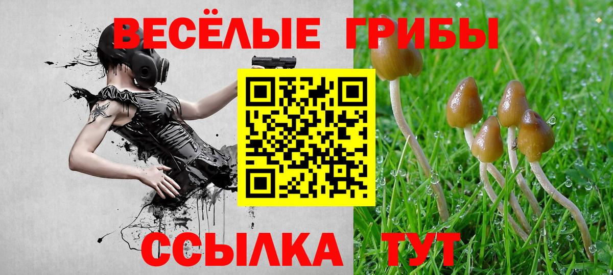 Галлюциногенные грибы MAGIC MUSHROOMS Волгоград
